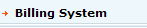 Billing System