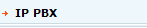 IP PBX